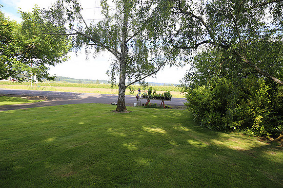 Dale's Penny Ln-4940