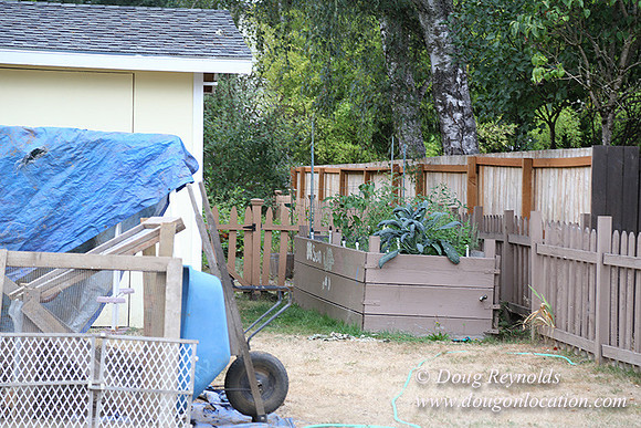 Nathan's Backyard-1684