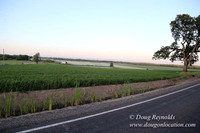 Spring Valley Rd