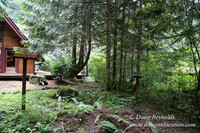 Gary's Cabin-7533