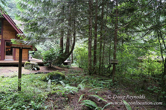 Gary's Cabin-7533