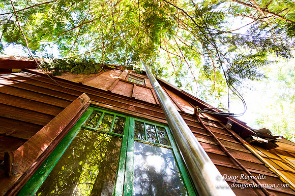 Karri's Cabin
