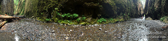 Oneonta Falls
