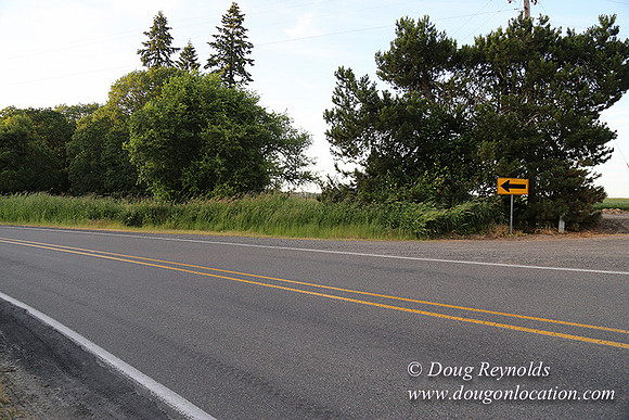 Mountaindale Rd-6434