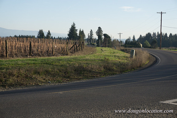Kelso Rd W Driving E-3979
