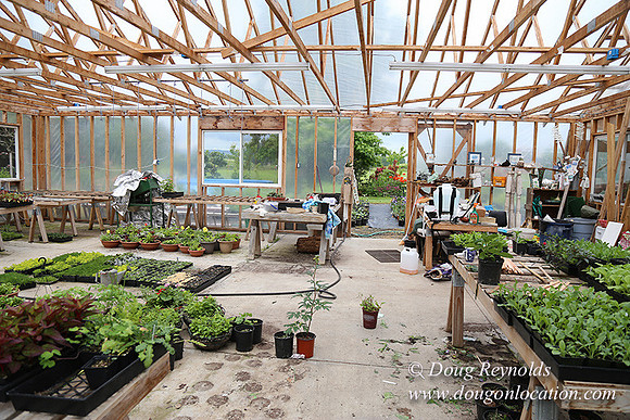 Shere's Garden Flowers & produce