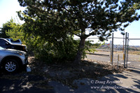 East End N Runway-5000