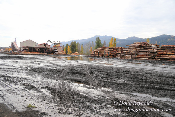 SDS Lumber-1325