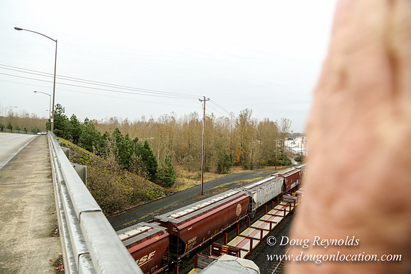 Marine Dr Overpass-5274
