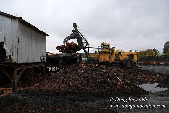 Saw Mill and Lumber Yard