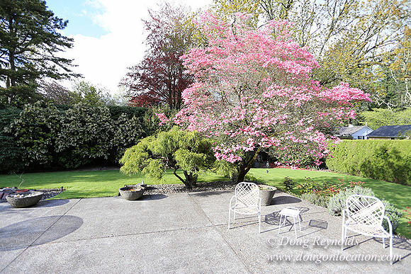 Mid Century Traditional Style Home, With a Basement, 2 car garage average sized Back Yard with Patio