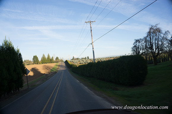 Kelso Rd W Driving E-4009