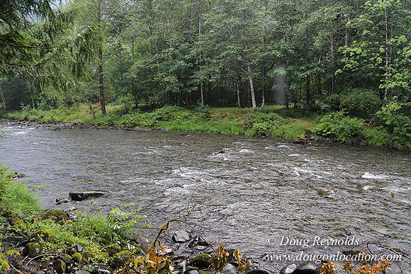 Small, Cabin, Home, River, OR, Oregon, Green, Yard,