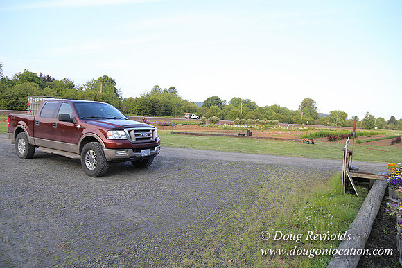 Jim Dandy Farm-5082