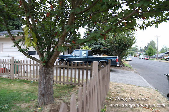 Nathan's Backyard-1681