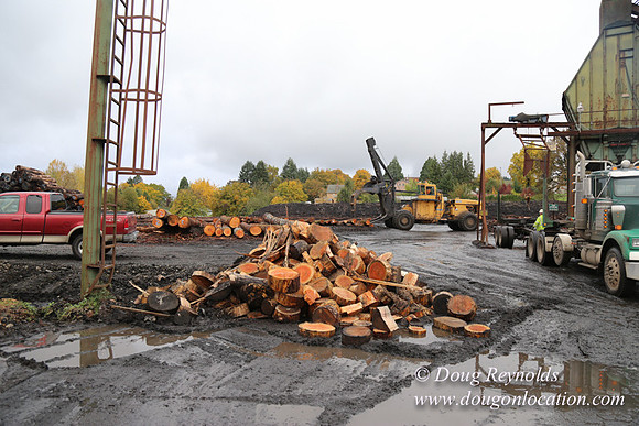 Saw Mill and Lumber Yard