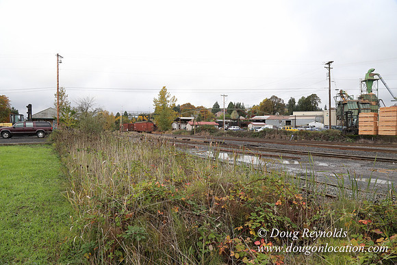 Saw Mill and Lumber Yard