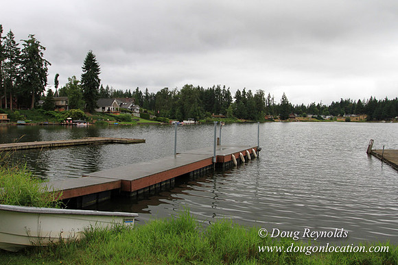 Cabin, Curtis, Dock, Green, Home, Lake, Small, WA, Washington, Yard, Yard, deck
