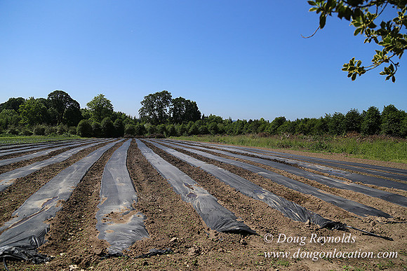 Vahan's Farm & Market-5159