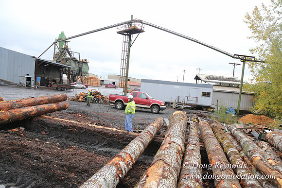 Saw Mill and Lumber Yard