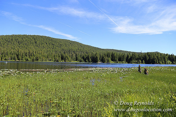 Trillium Lake-32003639