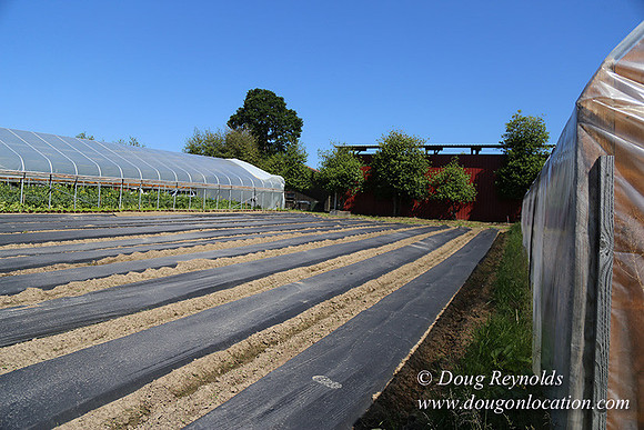 Vahan's Farm & Market-5201