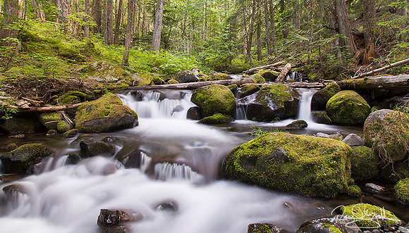 Laurance Creek