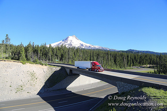 CMD Western Star Production Photo