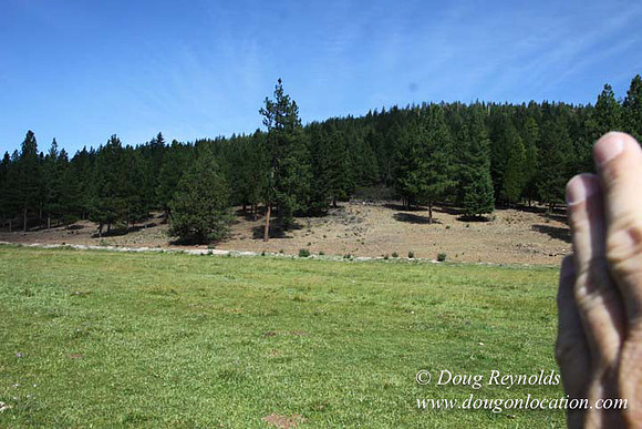 Ranch 18 South side of Hwy  has 2500 Acres of green fields Creeks water crossing Bridges on a Large Lake and miles of Dirt roads Oak trees  Forest land ATV Trails cows