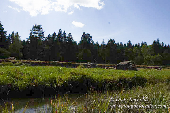Ranch 18 South side of Hwy  has 2500 Acres of green fields Creeks water crossing Bridges on a Large Lake and miles of Dirt roads Oak trees  Forest land ATV Trails cows