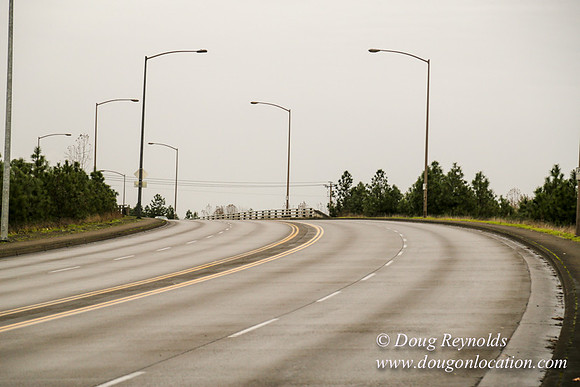 Marine Dr Overpass-5231