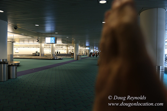 PDX Bagage-3898