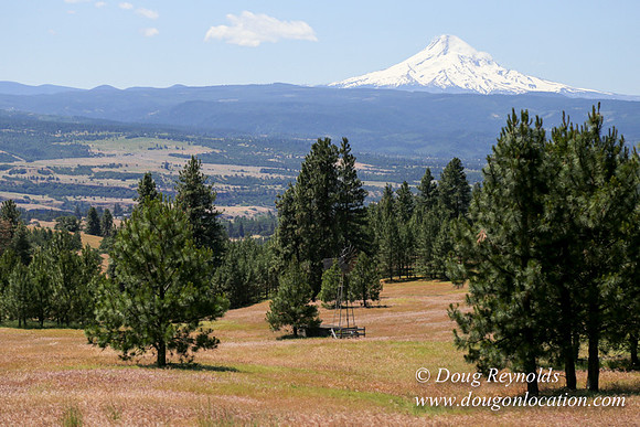 Brothers Ranch-8423