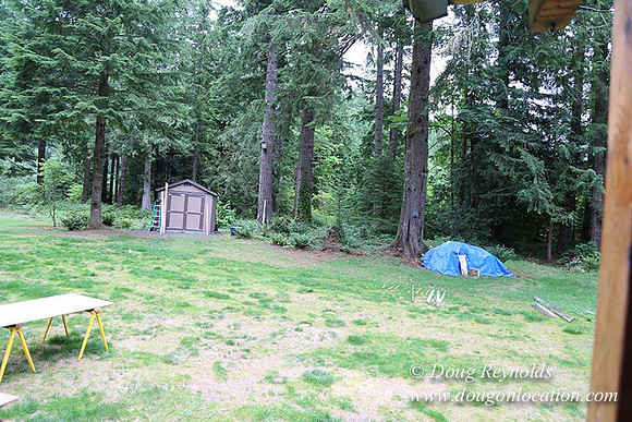 Cabin;  Home;  House; OR, Oregon Yard; deck; green. River,