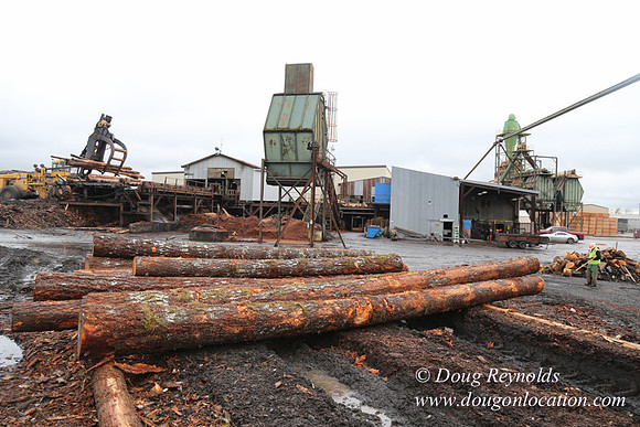 Saw Mill and Lumber Yard