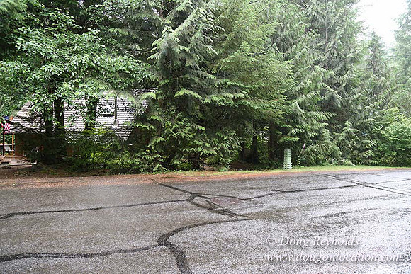 Gary's Cabin-7608