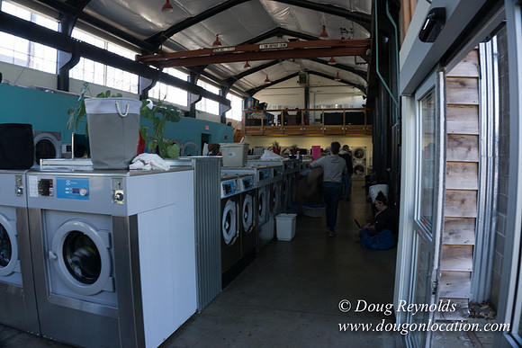 Spin Laundry-2697