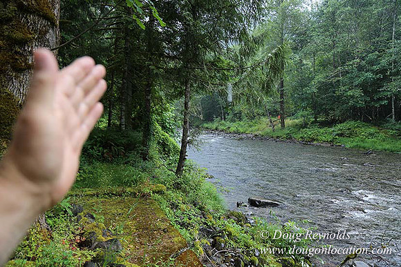 Small, Cabin, Home, River, OR, Oregon, Green, Yard,