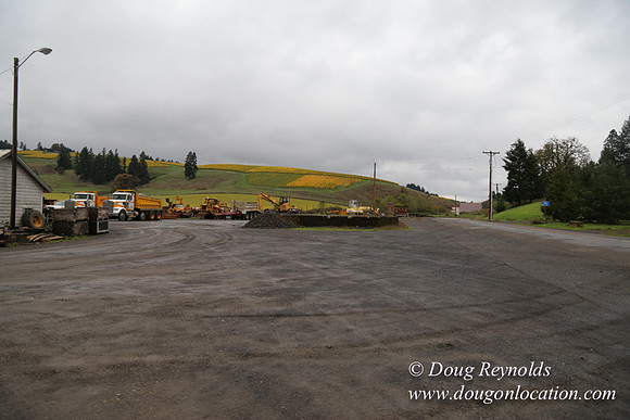 CFL Logging-0863