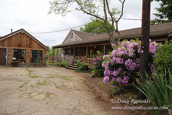 Shere's Garden Flowers & produce