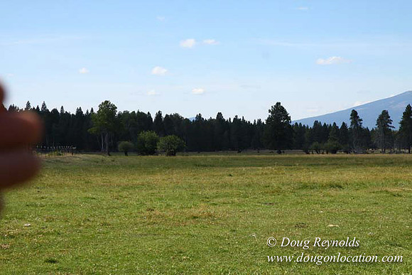 Ranch 18 South side of Hwy  has 2500 Acres of green fields Creeks water crossing Bridges on a Large Lake and miles of Dirt roads Oak trees  Forest land ATV Trails cows