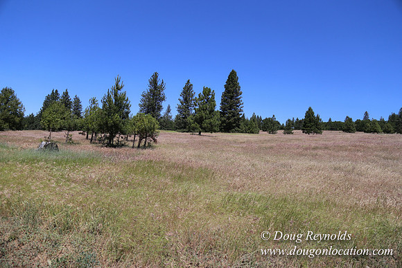 Brothers Ranch-8464