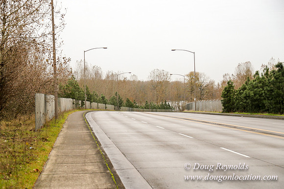 Marine Dr Overpass-5284
