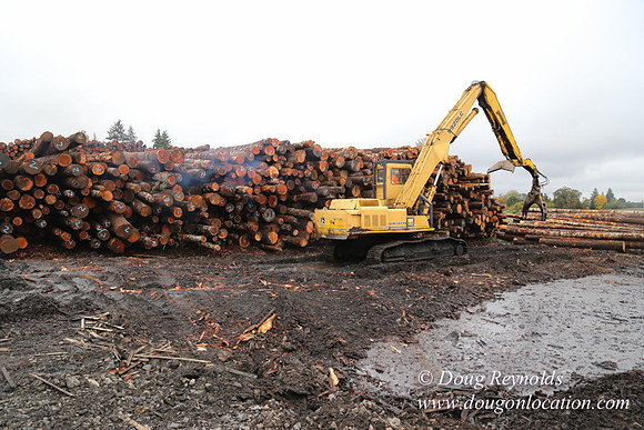 Saw Mill and Lumber Yard