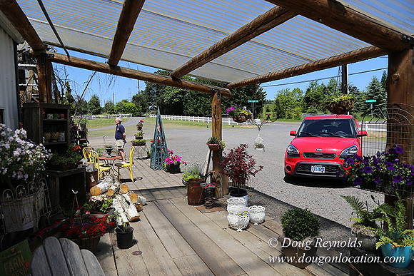Little Door Farm Market-5401
