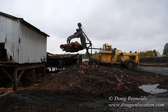 Saw Mill and Lumber Yard