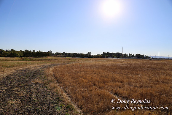 East End S Runway-5033