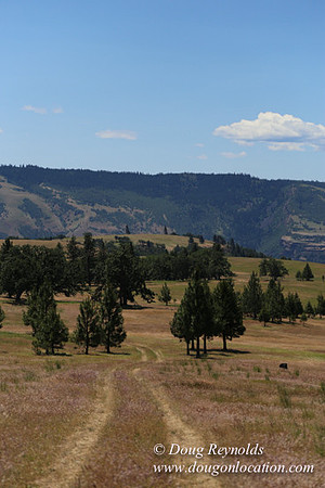 Brothers Ranch-8431