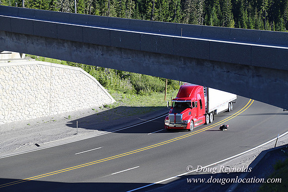 CMD Western Star Production Photo