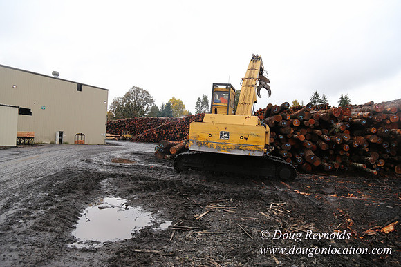 Saw Mill and Lumber Yard
